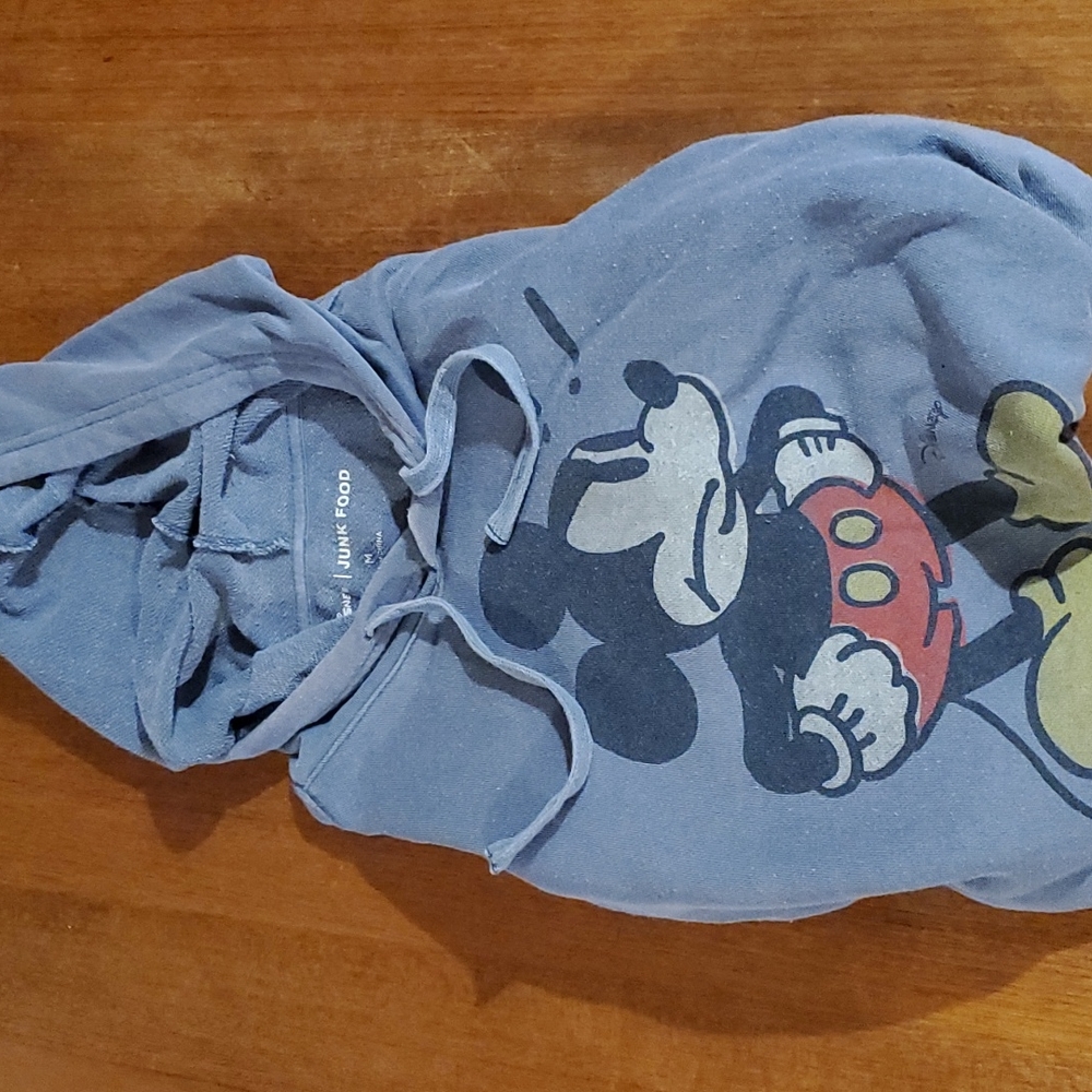 Vintage Style Disney Hoodie